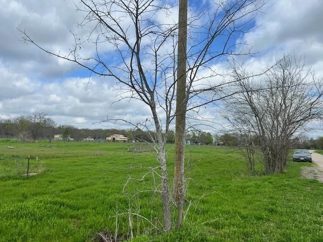 a view of grassy field with trees