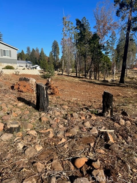 a view of a backyard of the house