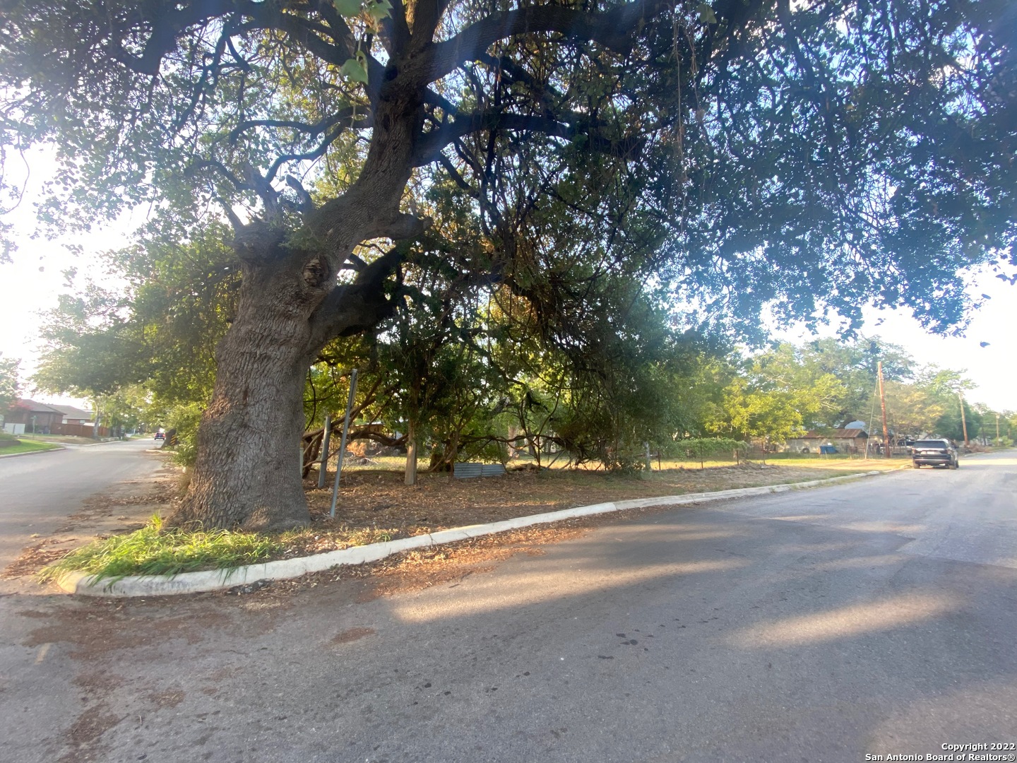 a view of a yard with a tree