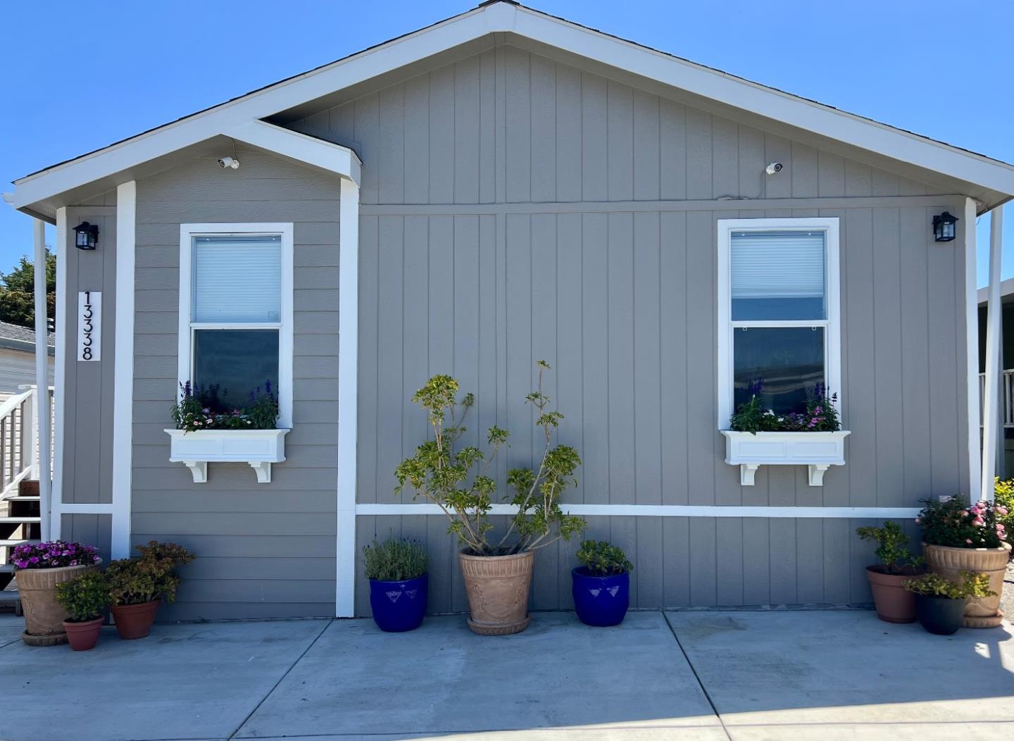 a potted plant sitting in front of a house