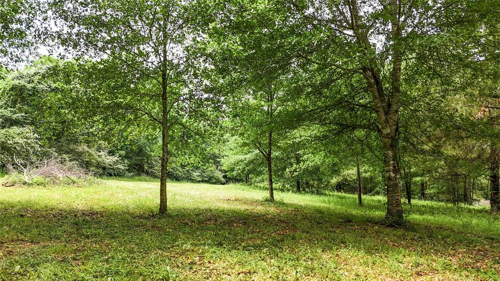 Escape to your beautiful 18+ ac unrestricted land, take a good walk for a break from the stresses of work. The good news, amenities are not far away!