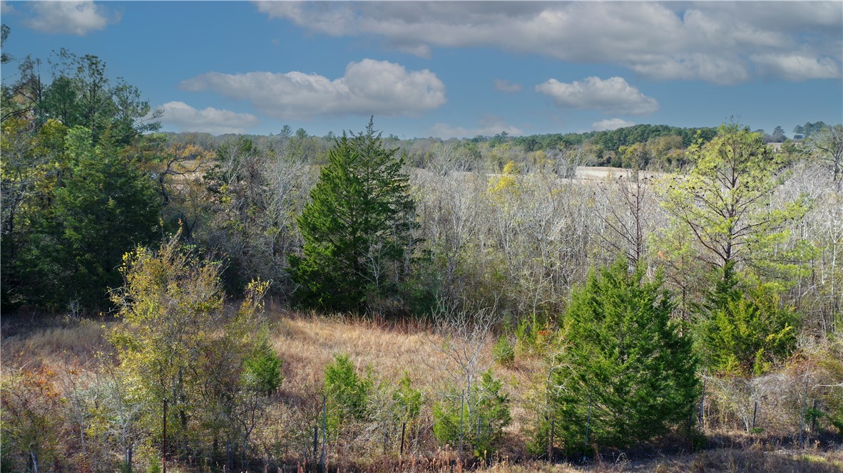 a view of lake with green space