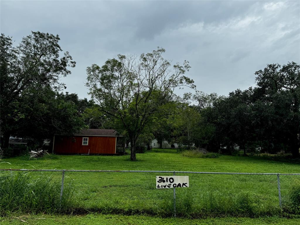 a view of a field with a tree