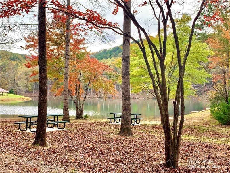 a view of a yard with a tree