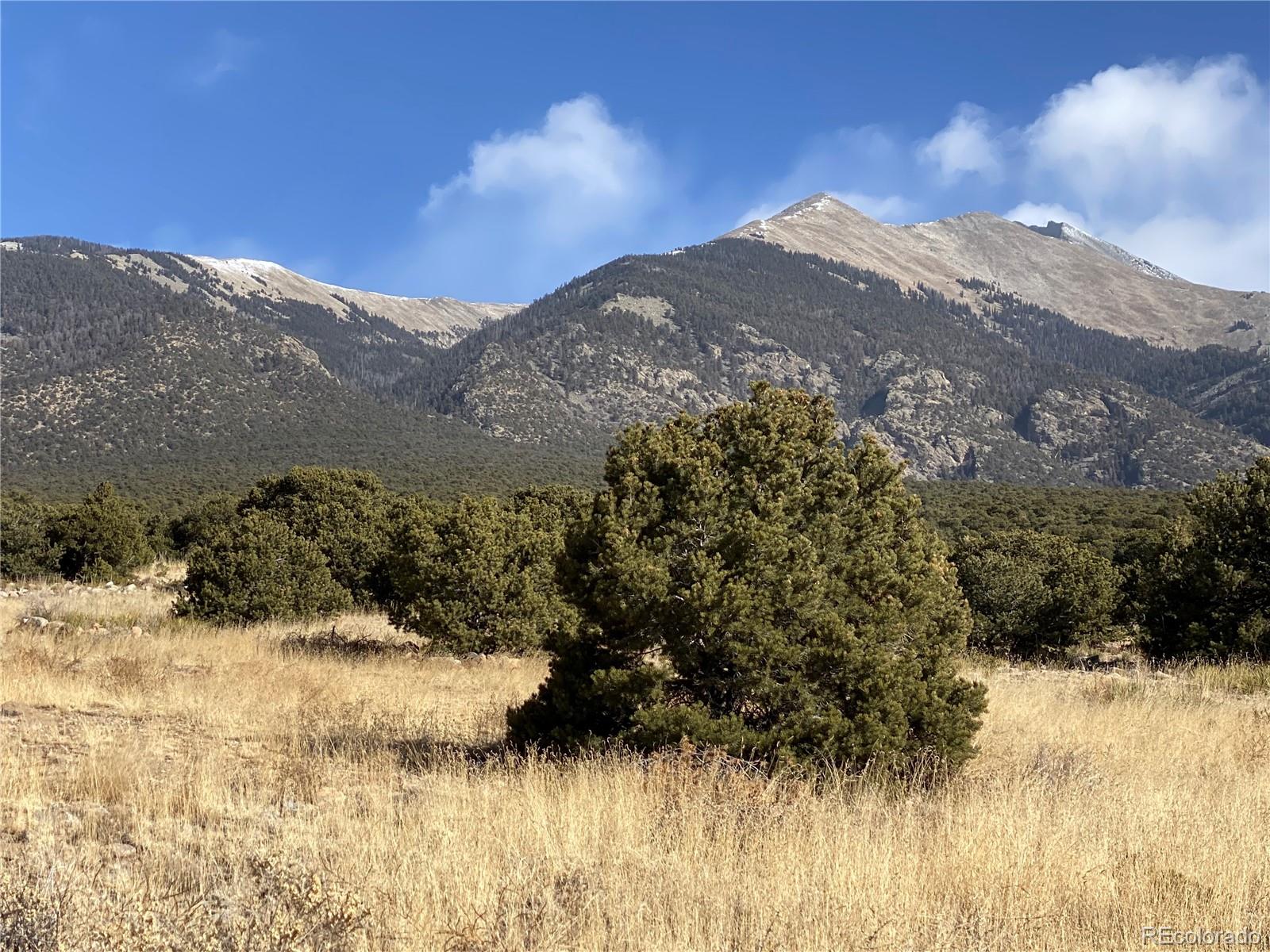 a view of a yard with a mountain