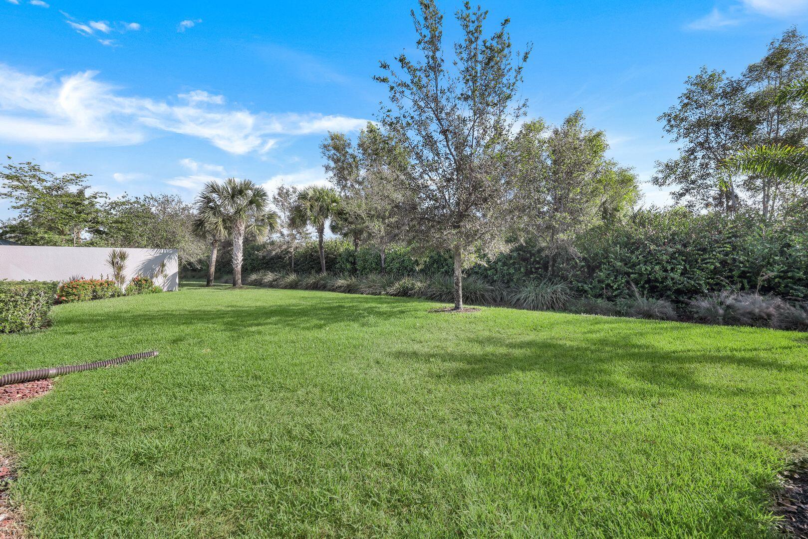 a view of grassy field with trees