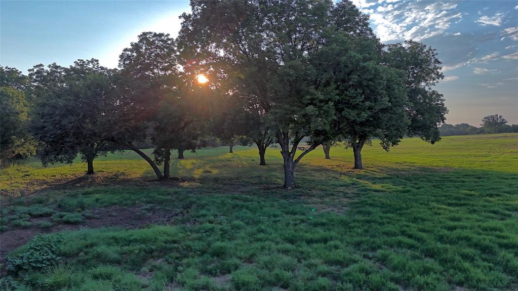 a view of a park