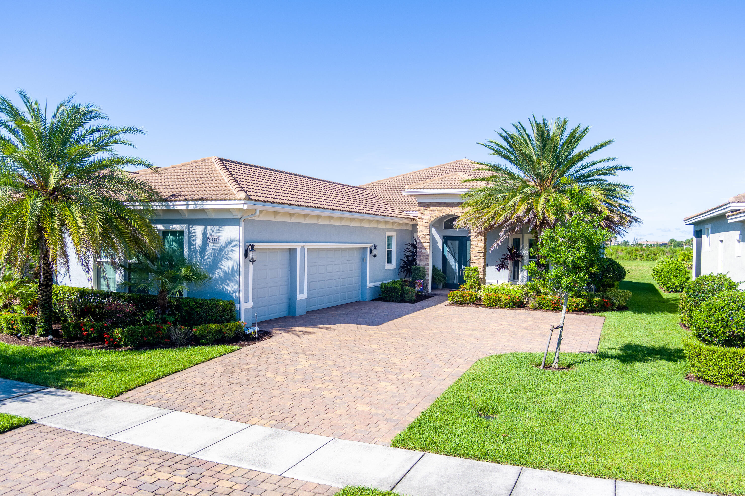 a palm tree sitting in front of a house with a yard