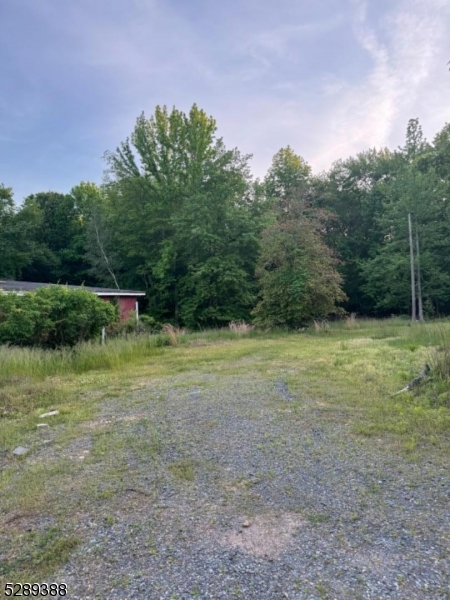 a view of a field with trees in the background