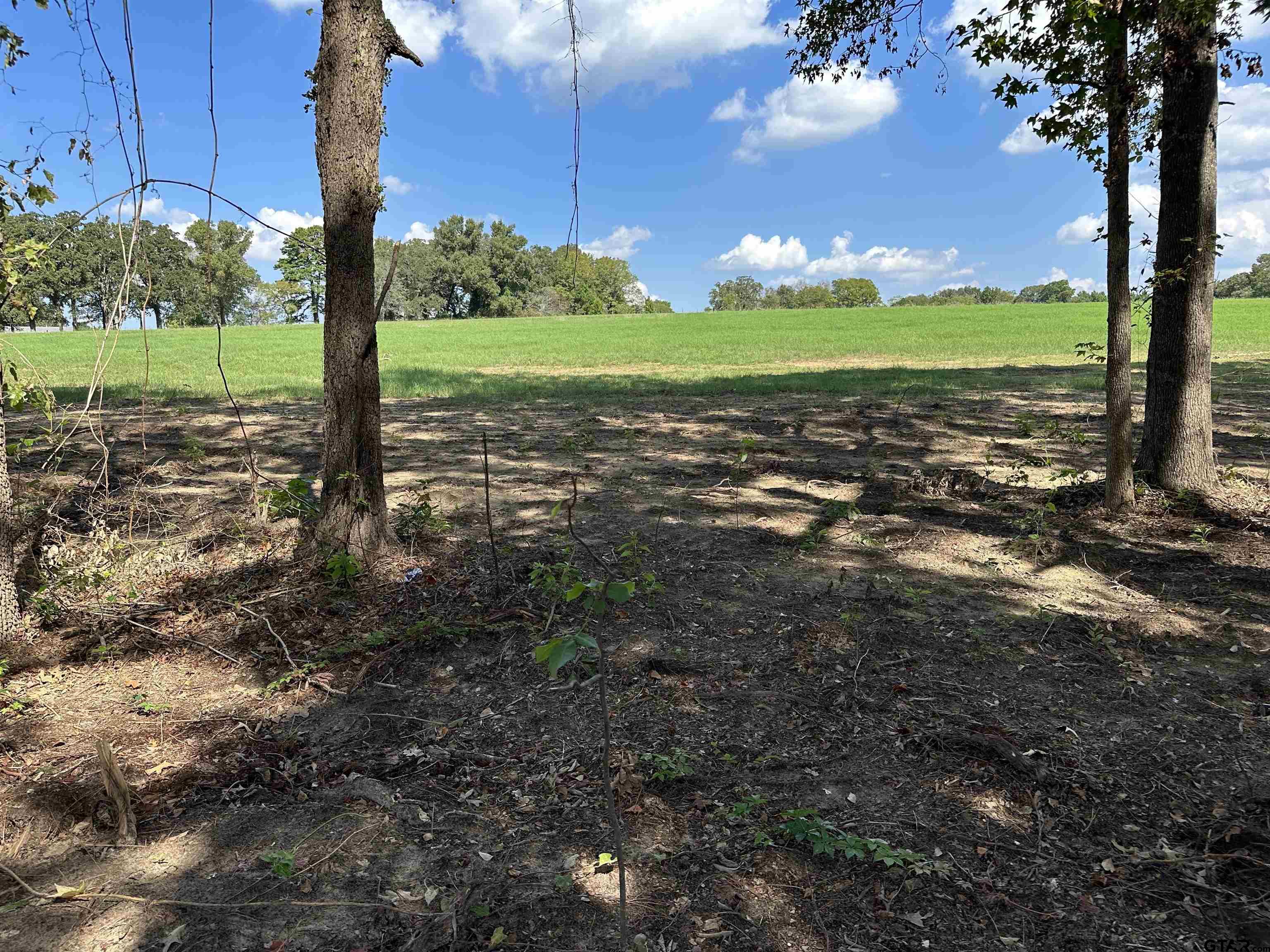 a view of a field with an trees