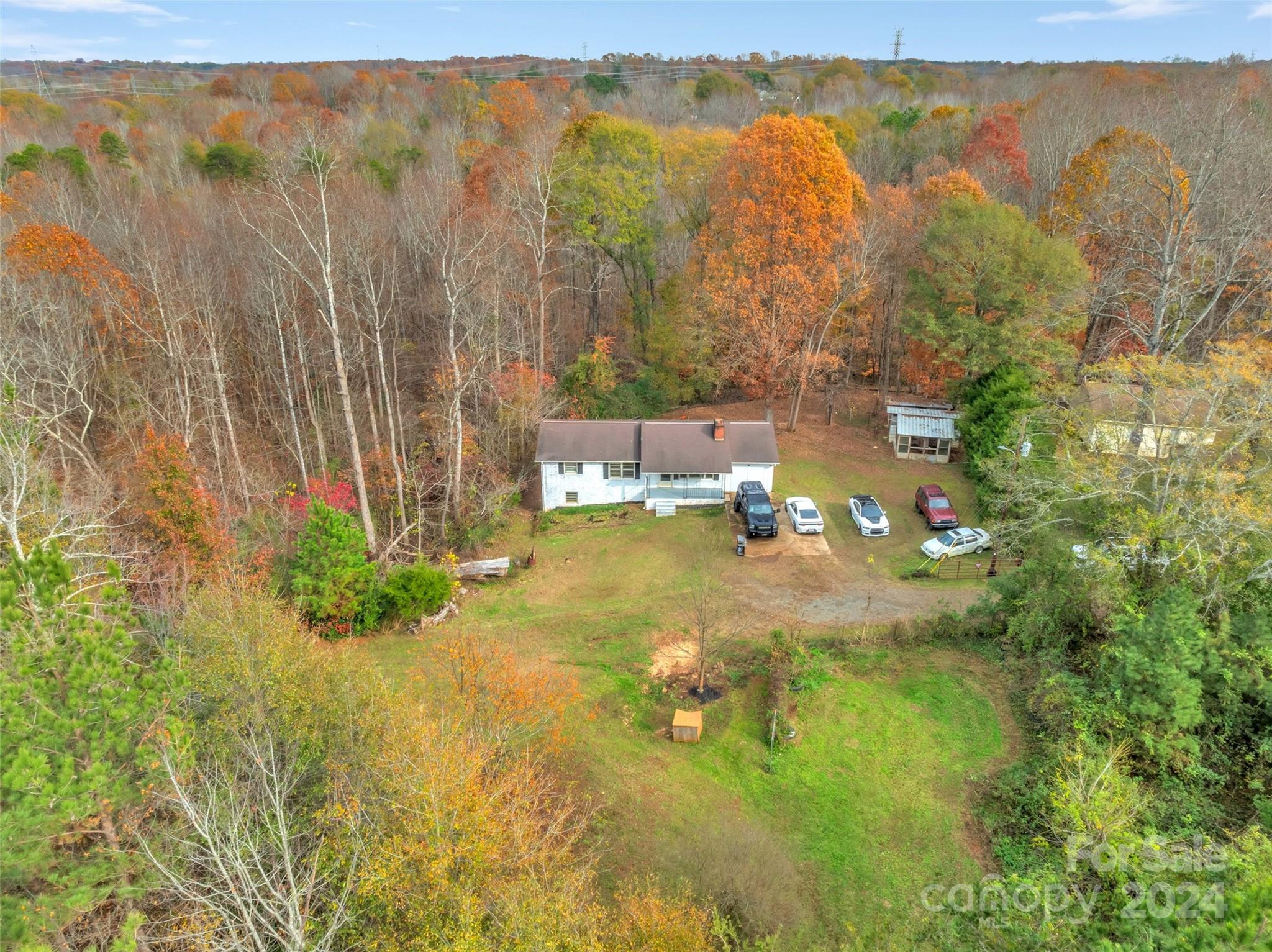 a view of a yard with a tree