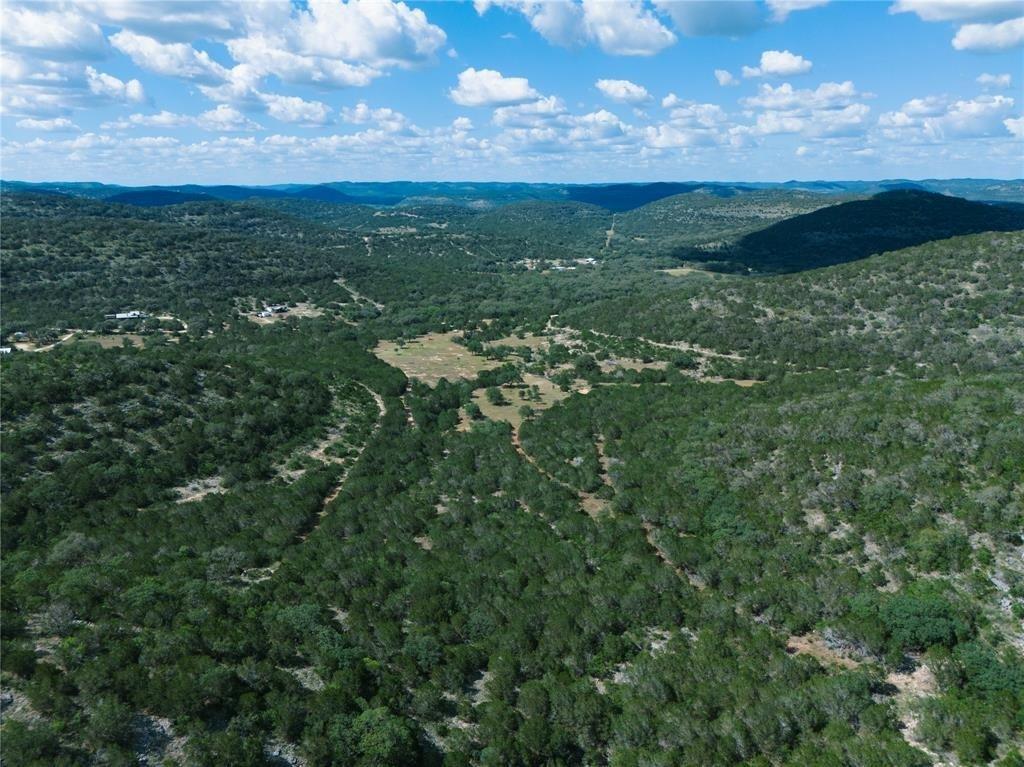 a view of a city with lush green forest