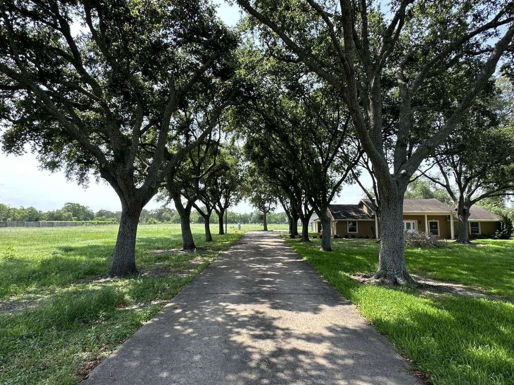 a view of a park with large trees