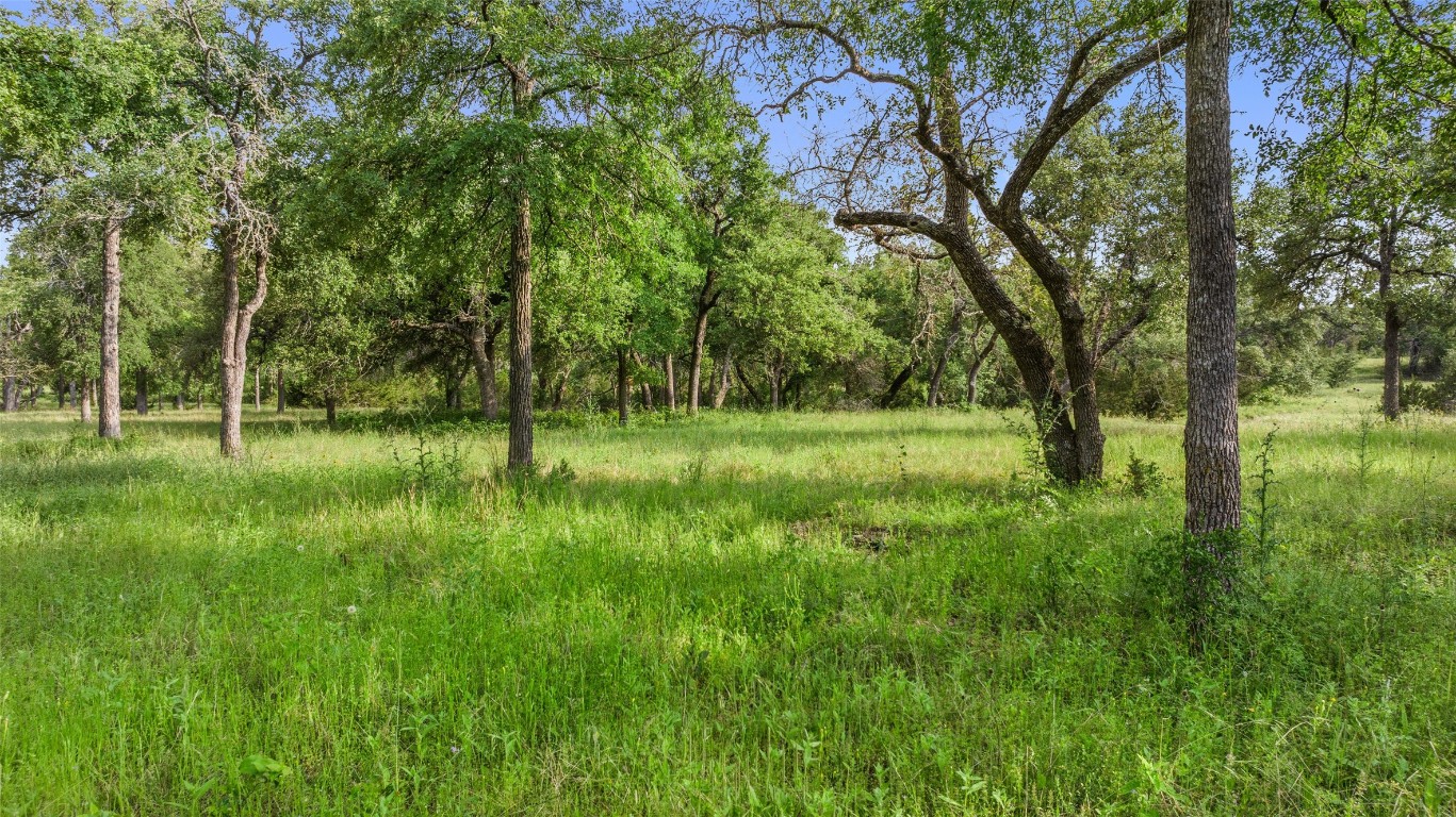 a view of outdoor space with green field and trees all around