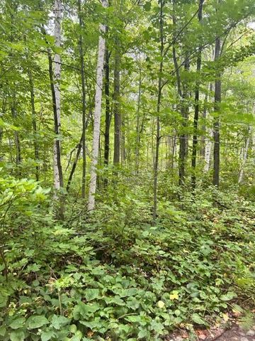 $13,900 | Xxx Xxx Chipmunk Pass | Cushing Township - Morrison County