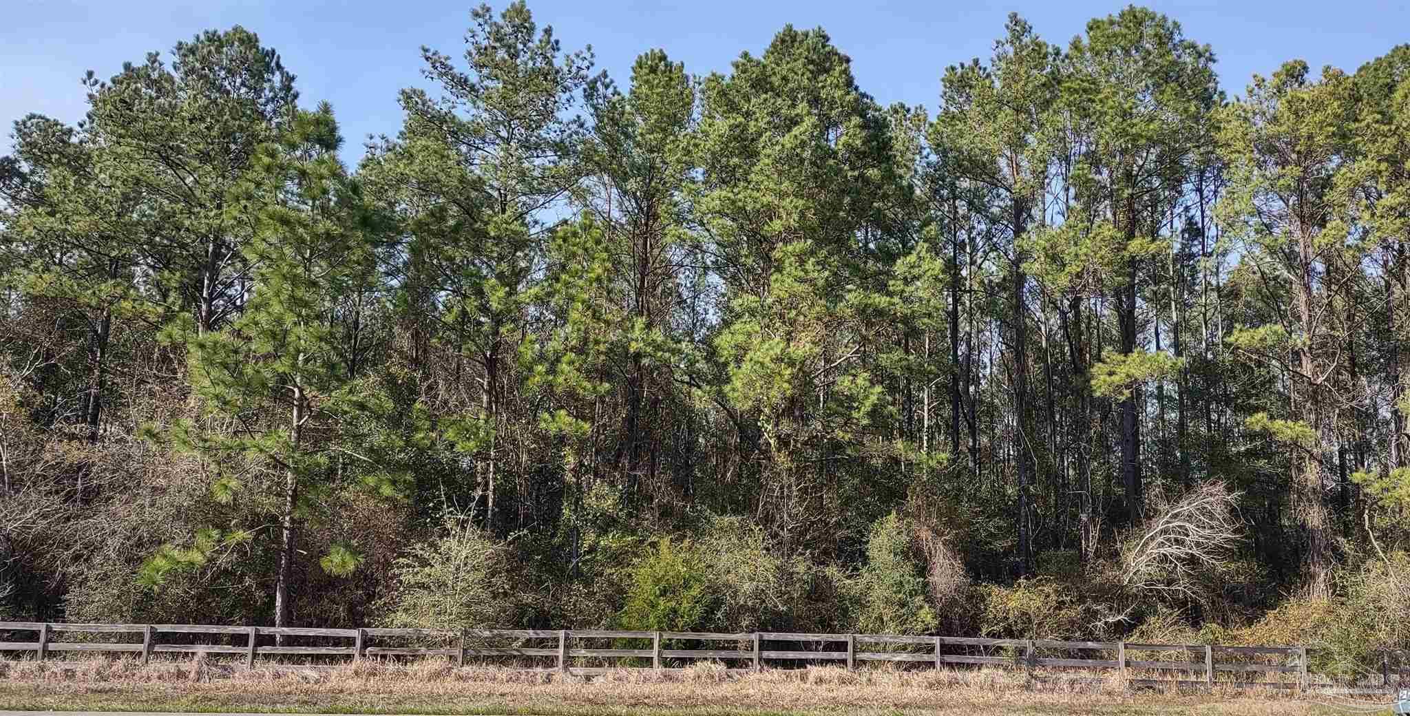 a view of a yard and trees