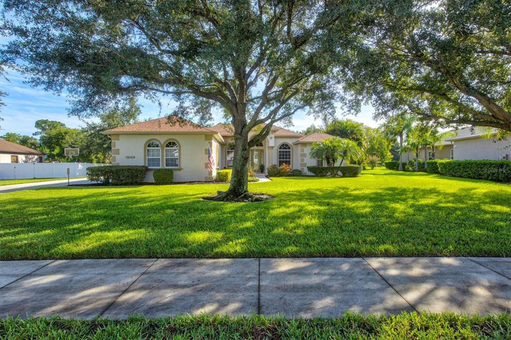 a front view of a house with yard and green space