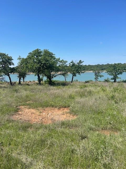 a view of a field with an trees in the background