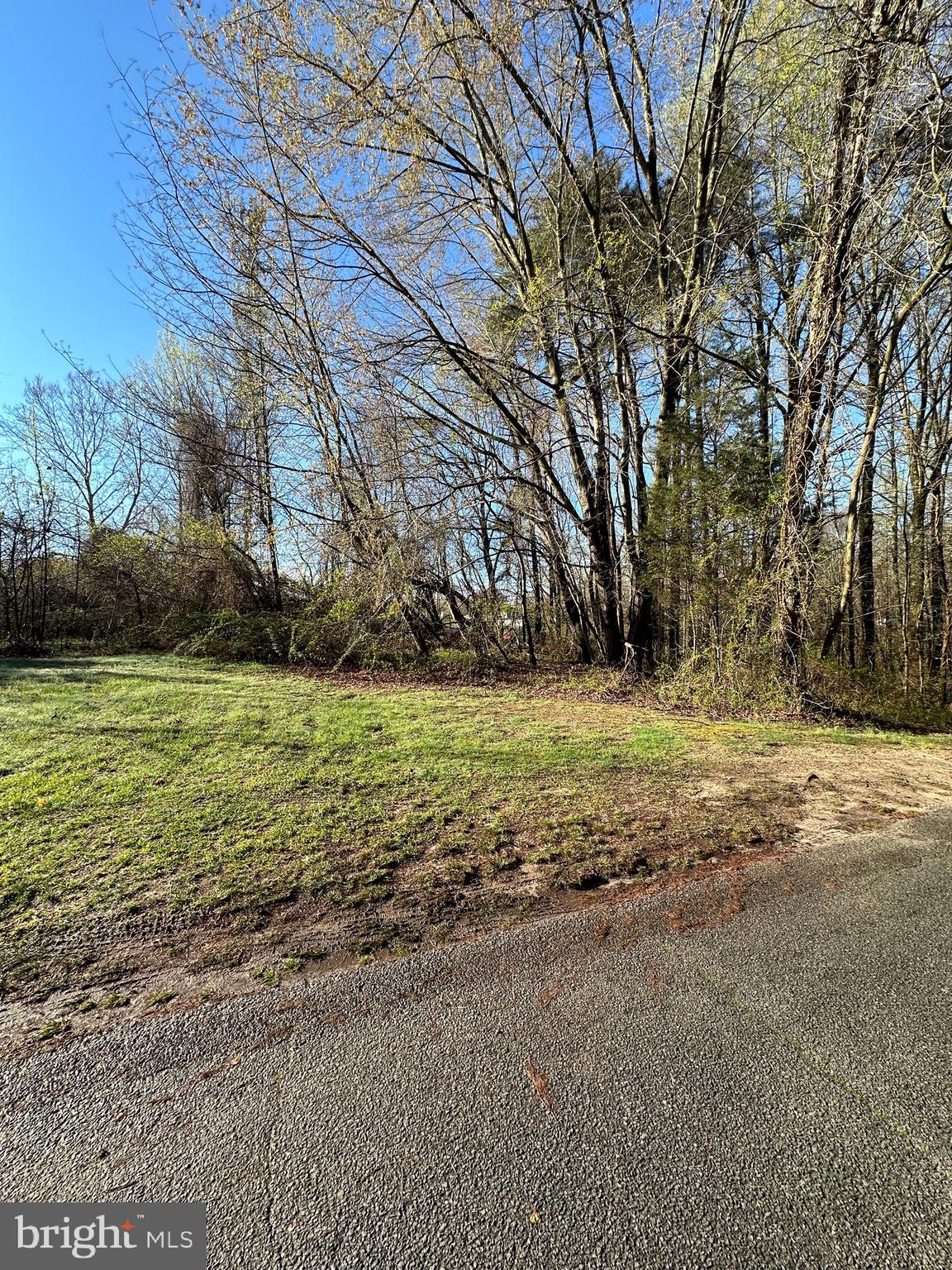 a view of a field with trees on the side of the house