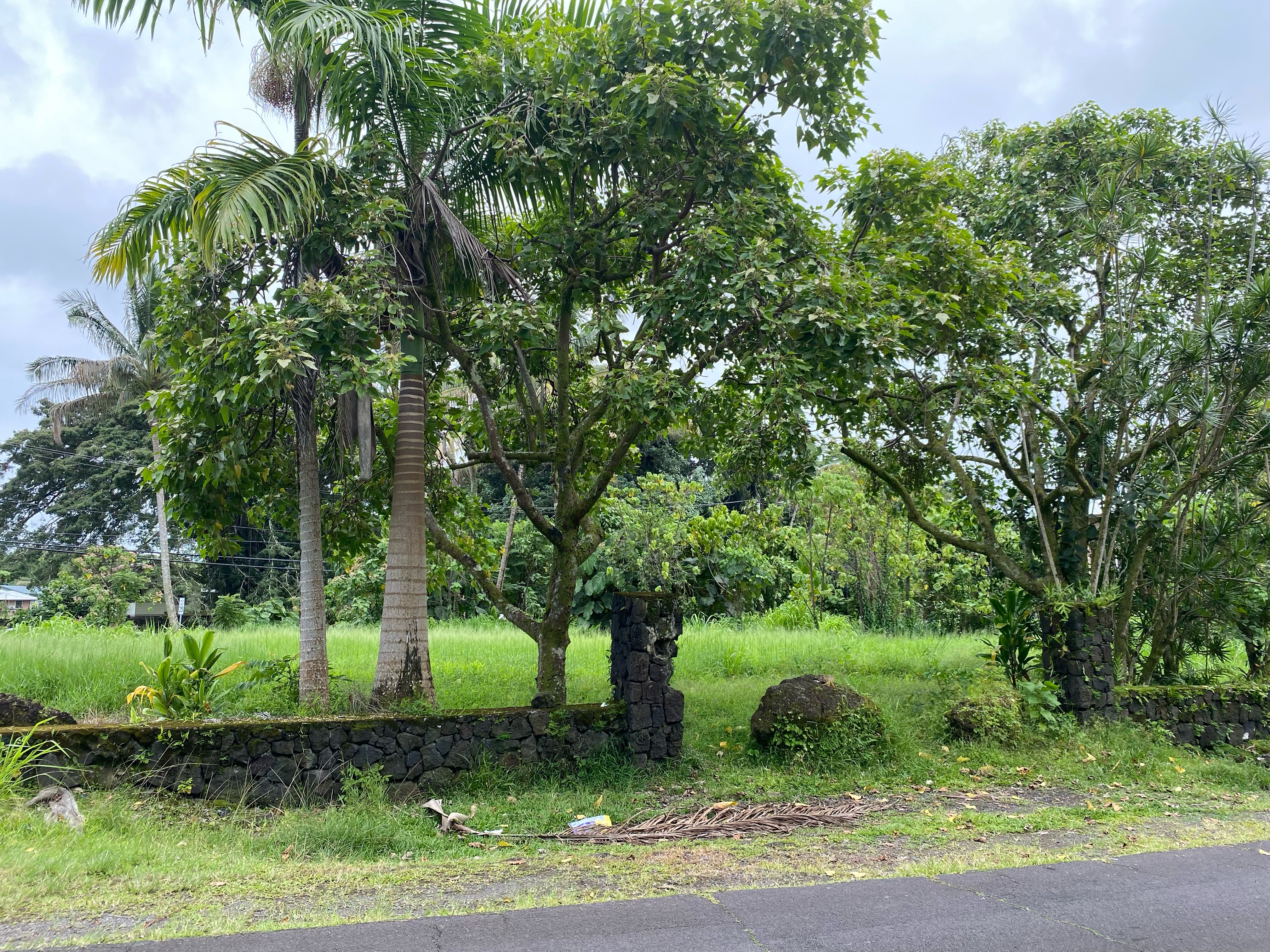 a view of a garden