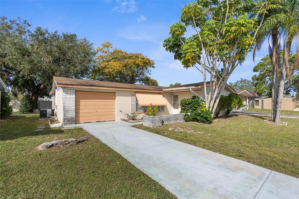 a view of a house with backyard and a tree