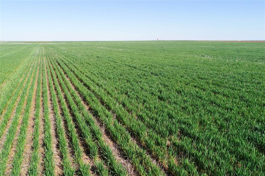 a view of a field with an ocean view