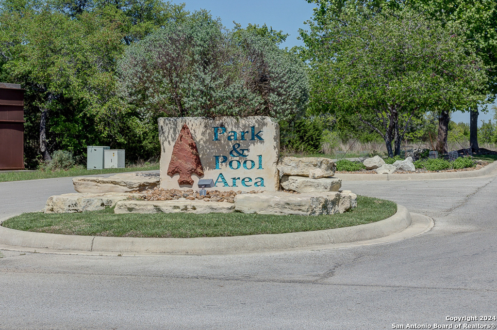 a view of a park with plants and trees