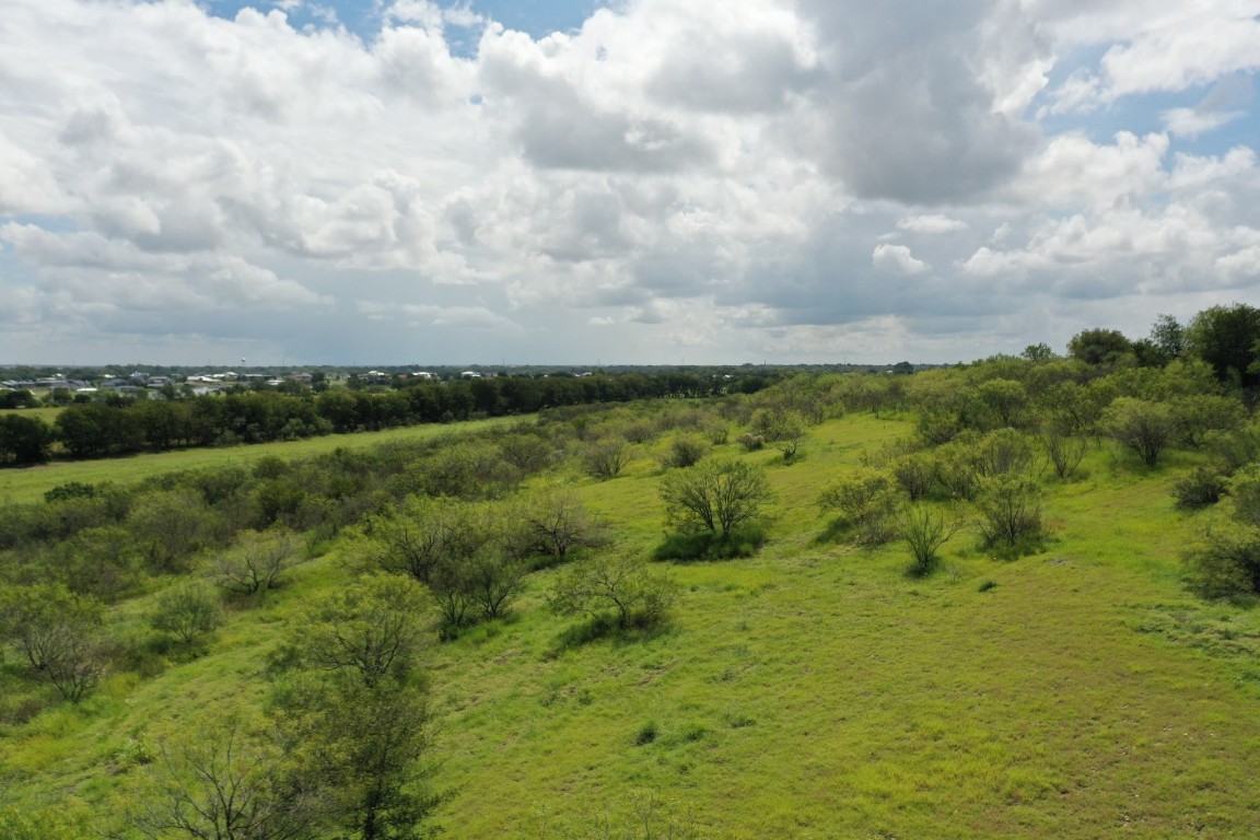 a view of a field with lots of trees