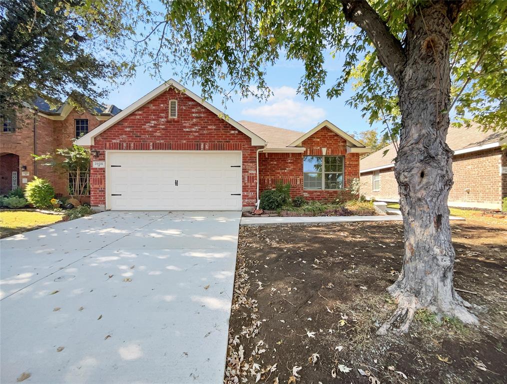 a view of a house with a tree in front of it