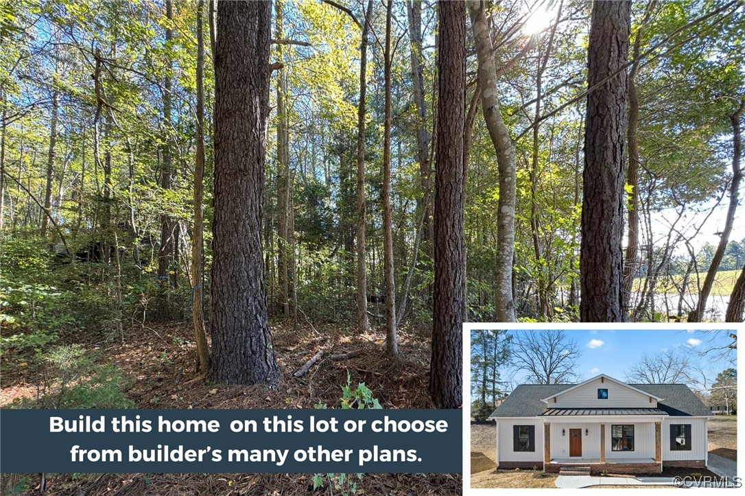 a view of house with a tree in front of it