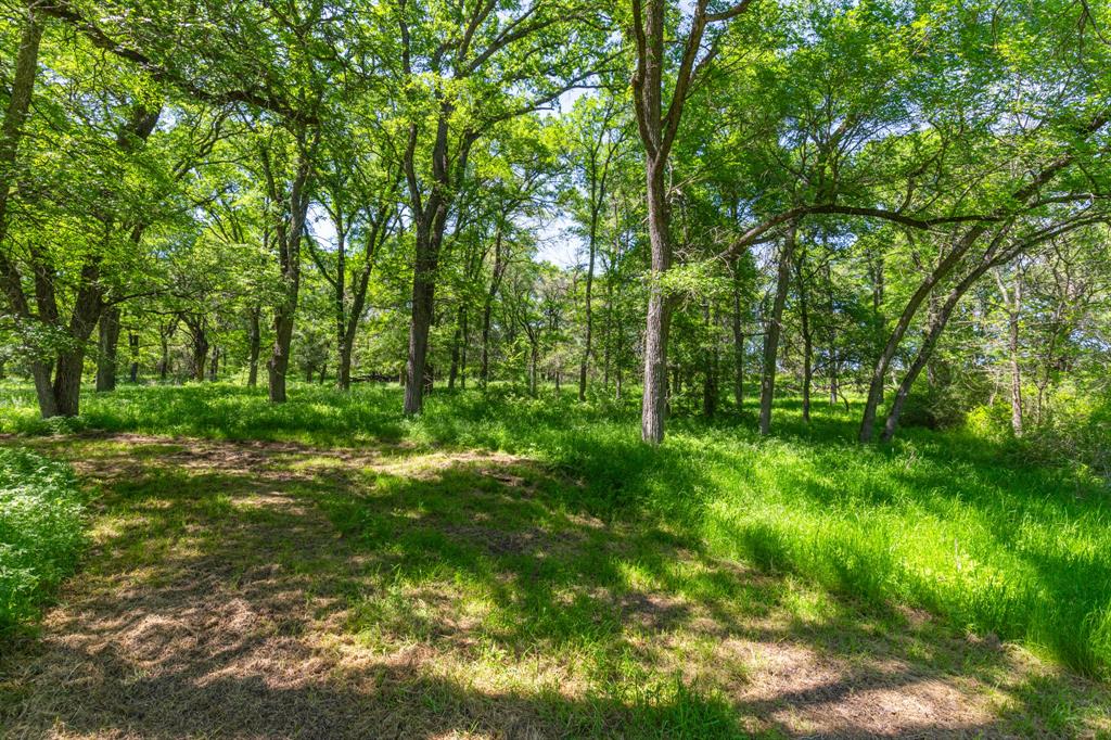 a view of outdoor space and green space