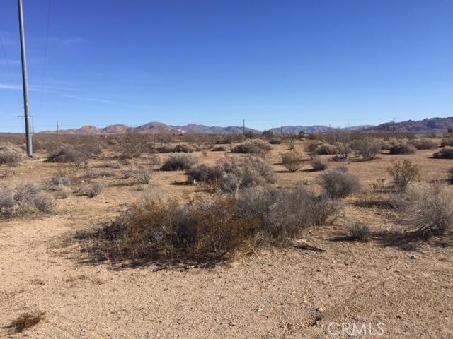 a view of a dry yard with mountains in the background