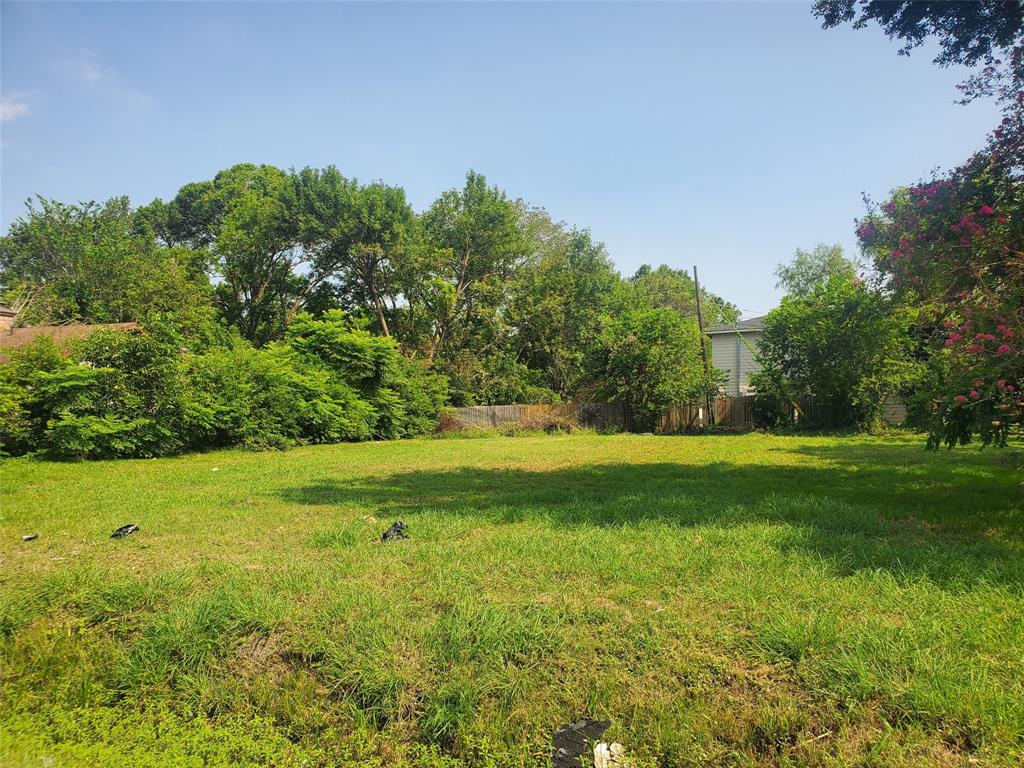 a view of a grassy field