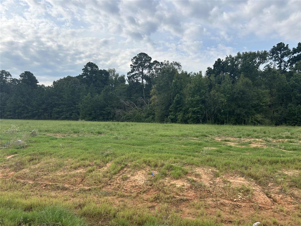 a view of a field with an trees in the background