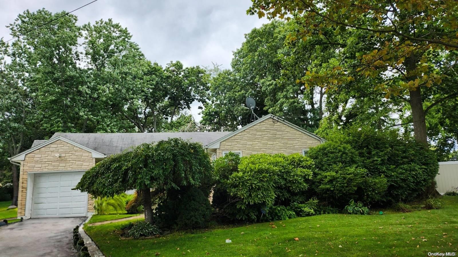 a backyard of a house with plants and large trees