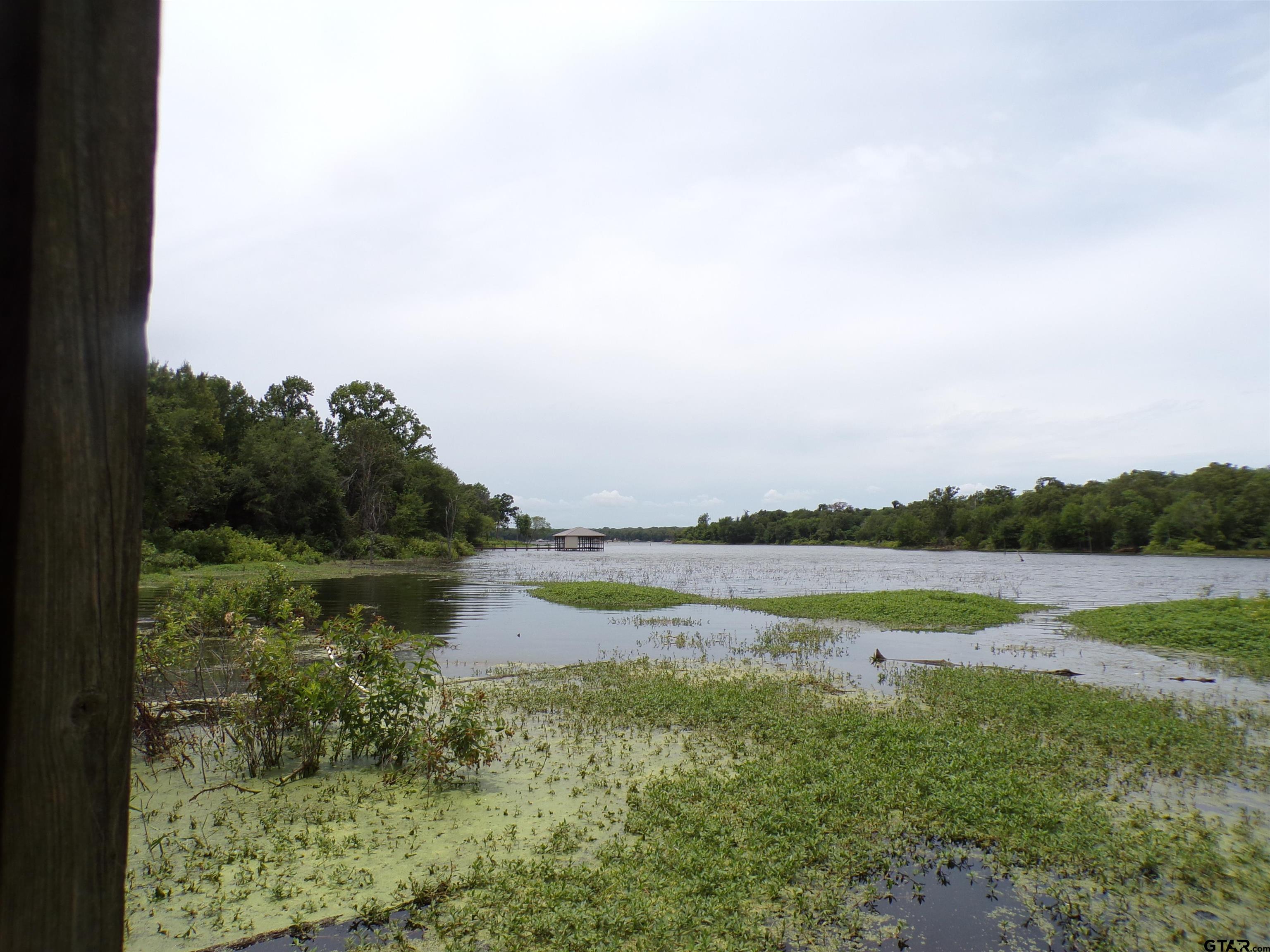 a view of a lake with houses in the back