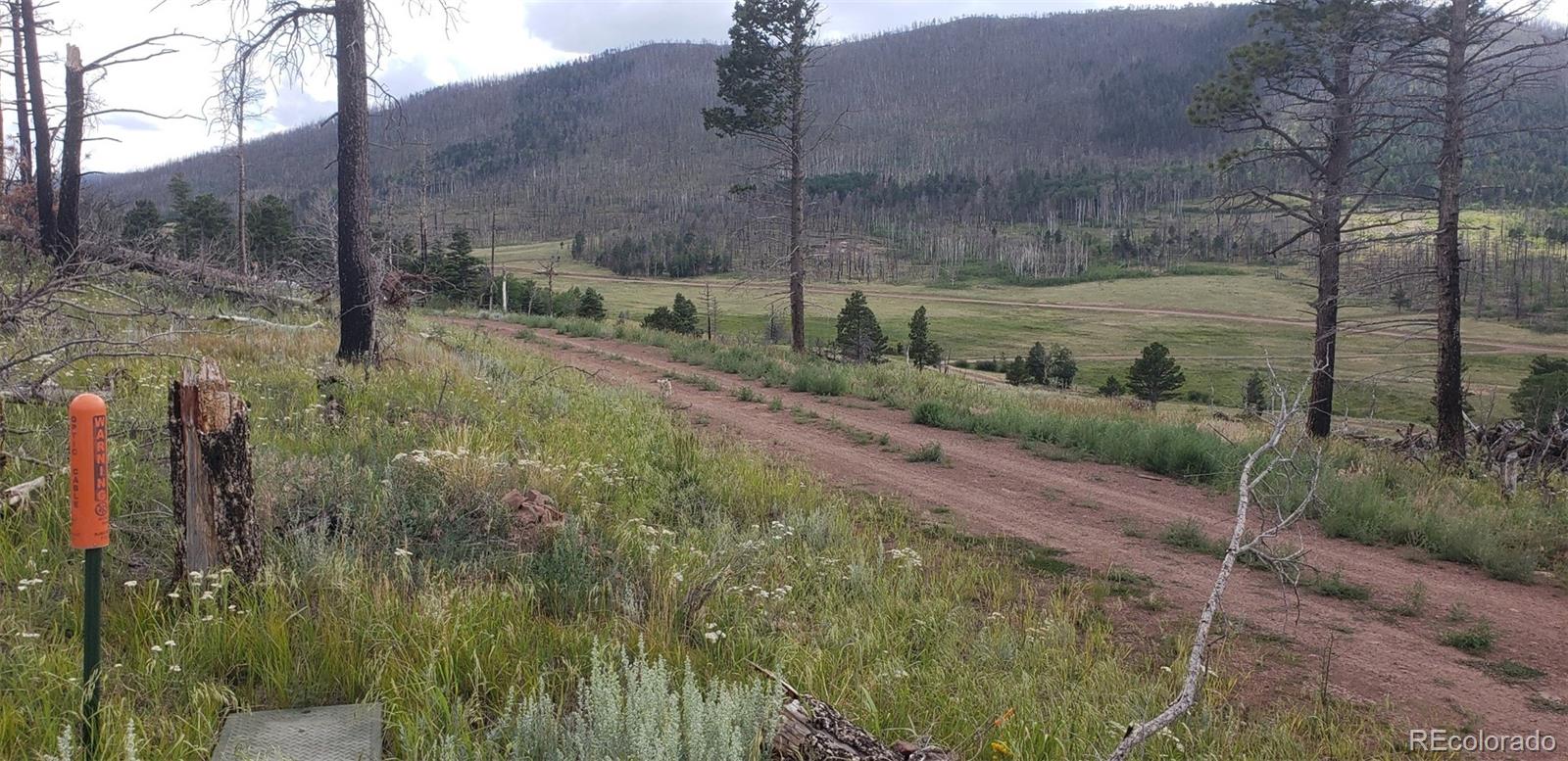 a view of a road with a yard