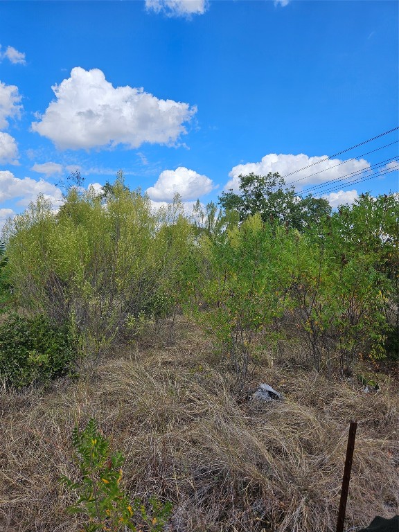 a view of a bunch of trees