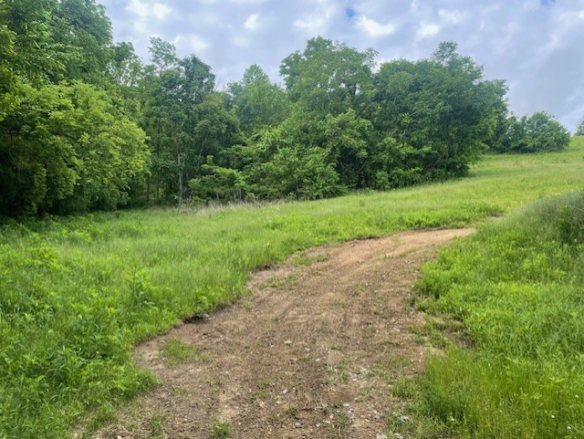 a view of a field of grass and trees