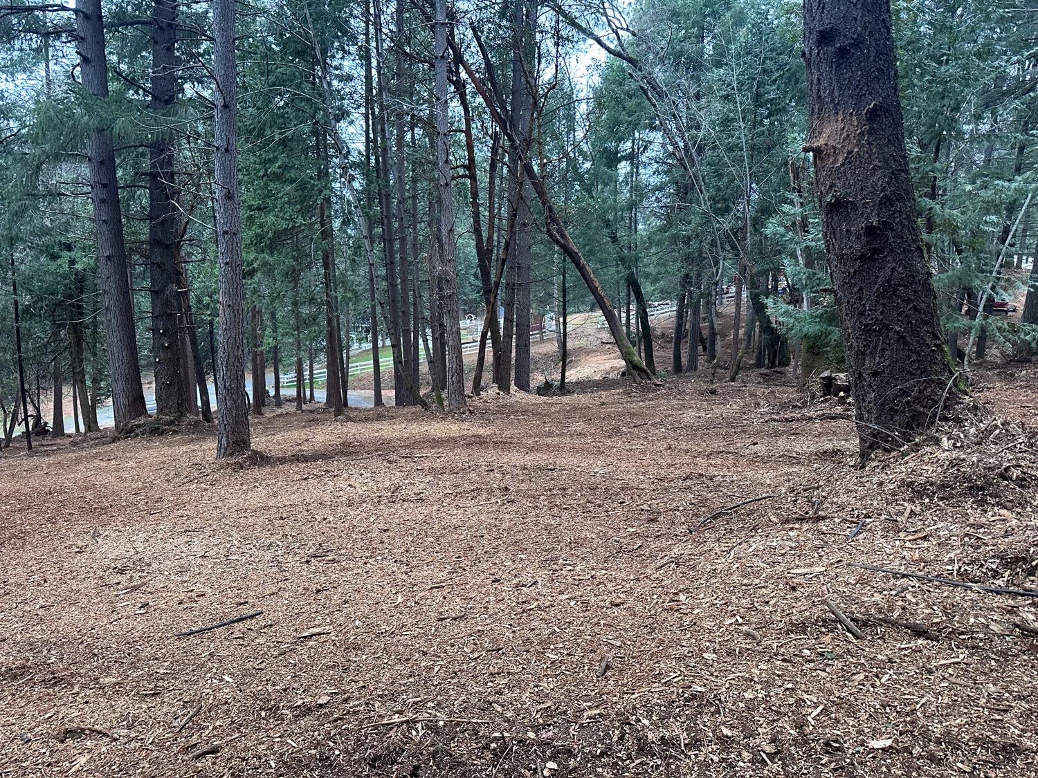 a view of outdoor space with trees