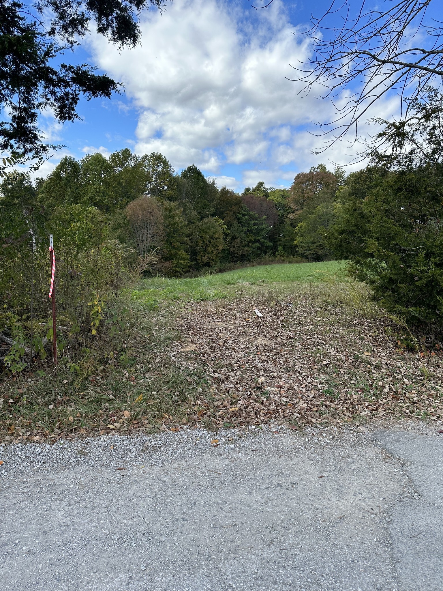 a view of outdoor space