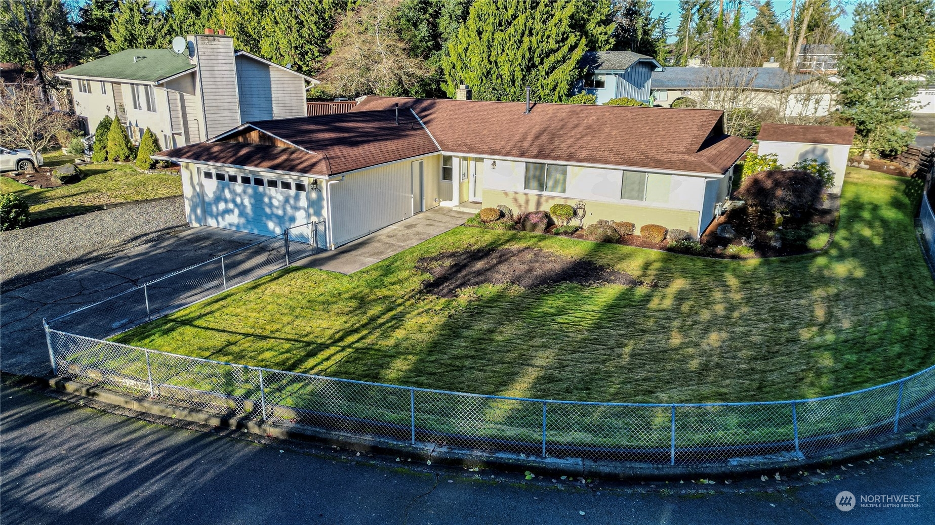 a view of a backyard with plants