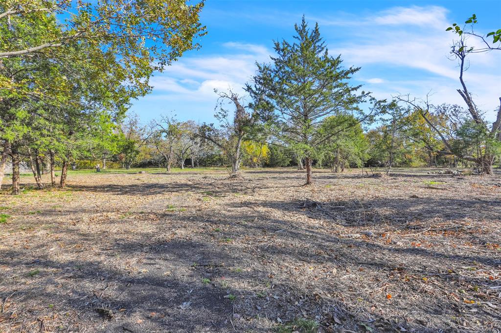 a view of a field with trees