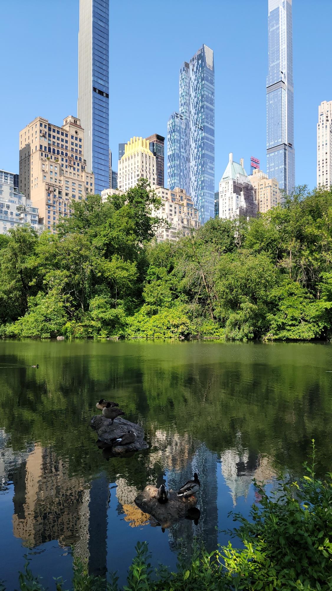 a lake view with outdoor space and lake view