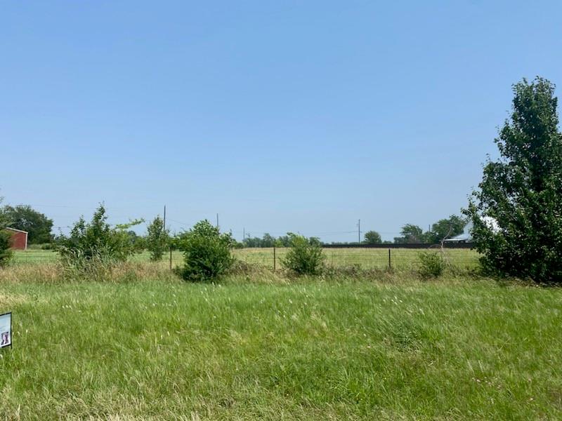 a view of a field of grass and trees