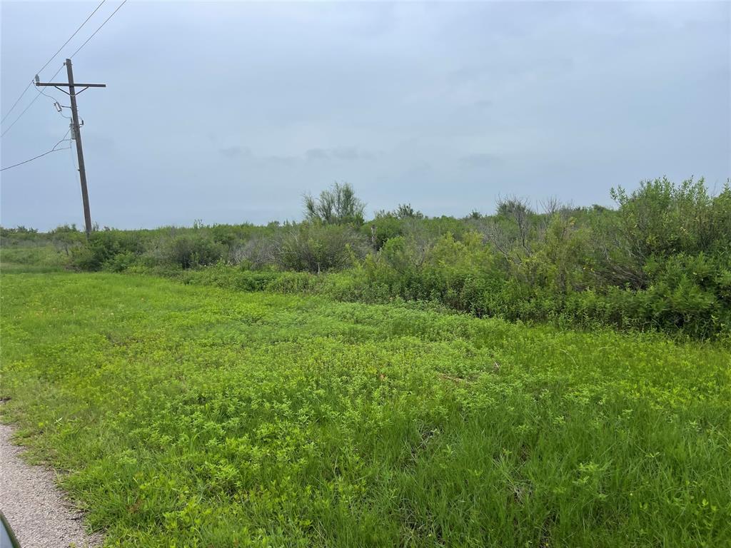 a view of a field with a tree in the background