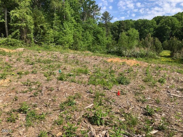 a view of a field with a tree