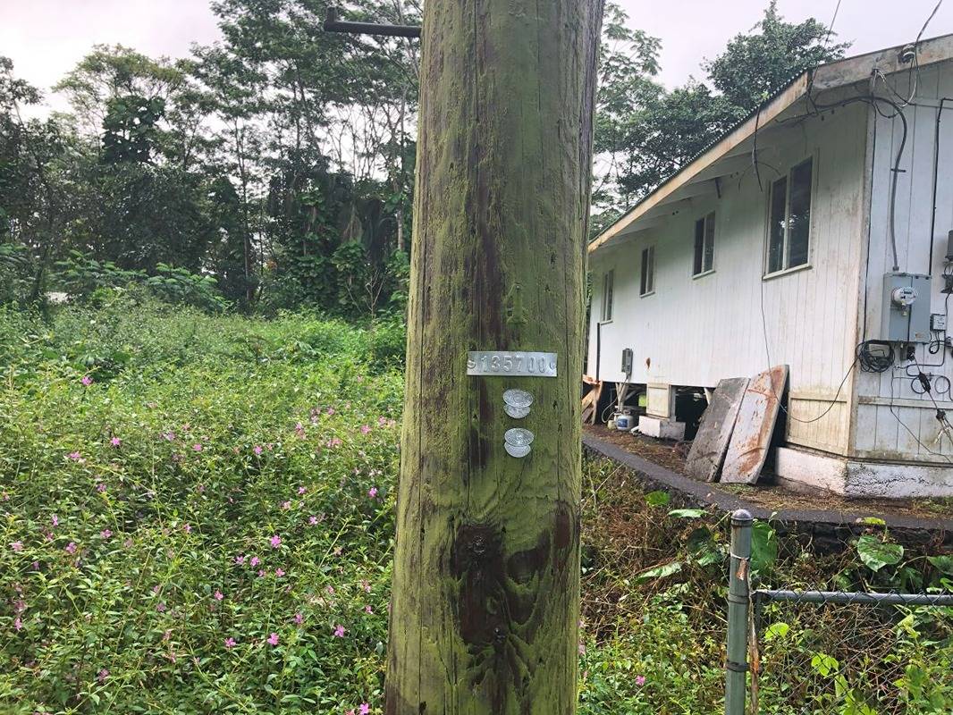 Electric pole across the road from right boundary