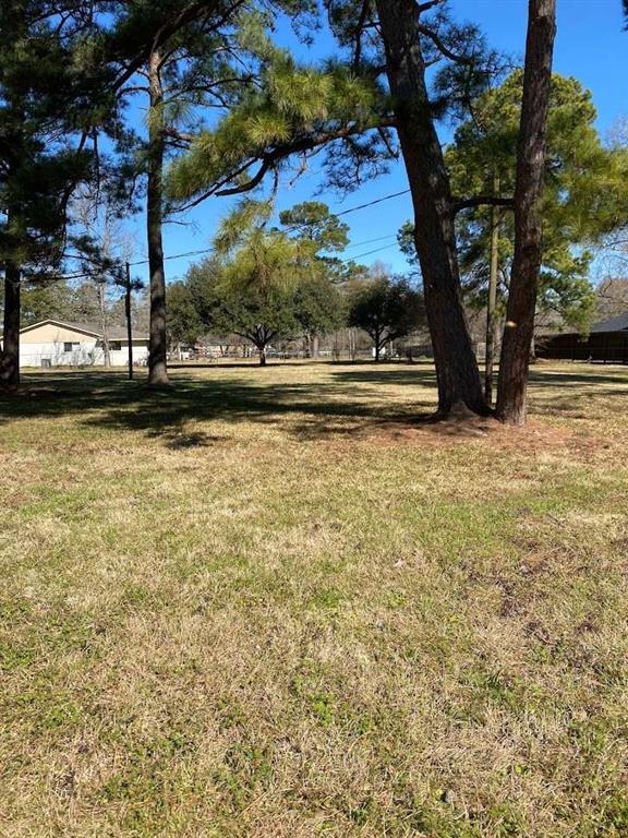 a view of a yard with plants and trees