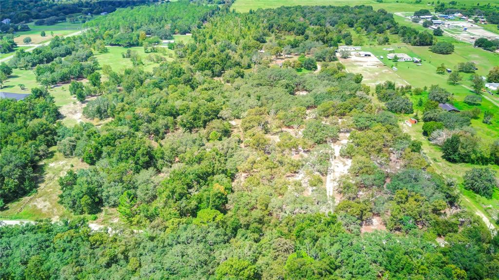 a view of a lush green forest with lots of trees